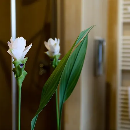 Opera & Gourmet Bed & Breakfast