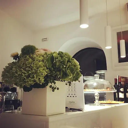 Opera & Gourmet Viterbo