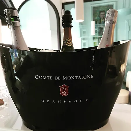 Opera & Gourmet 住宿加早餐酒店 3*